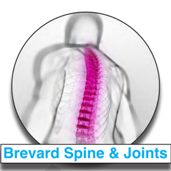 Brevard Spine & Joints