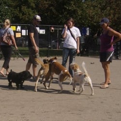 Churchill Field Dog Park