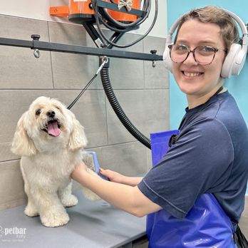 Petbar Boutique - Katy - Pet Groomers Near Me - Katy, Texas Petbar Boutique - Katy - Pet Groomers Near Me - Katy, Texas