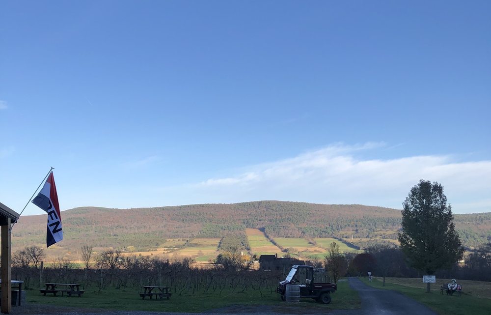 MIDDLEBURGH WINERY 25 Photos 2636 NY145, Middleburgh, NY Yelp