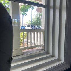 The Women's Center