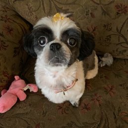 Molly got a spa day Molly got a spa day