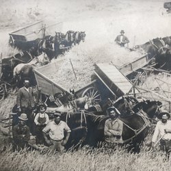 Fishhook Park - Wheat Farming !!!
