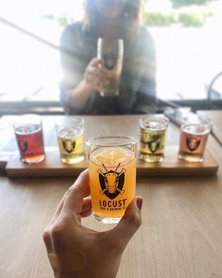 Locust Cider Belmar by null