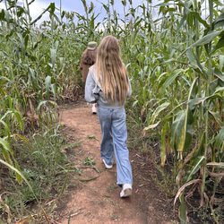 St Bernard Farms - 10.12.2025
