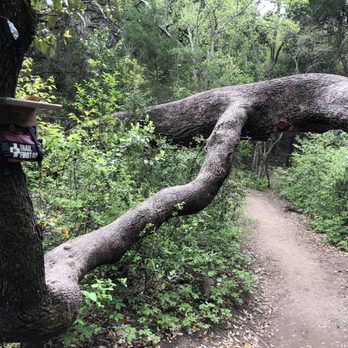 River Place Nature Trail - Emergency first aid kit along Canyon Trail - Hiking Near Me - Austin, Texas River Place Nature Trail - Emergency first aid kit along Canyon Trail - Hiking Near Me - Austin, Texas