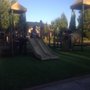 Photo of Arbor Roses Hoa Club House
