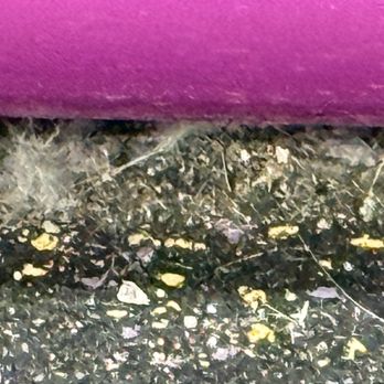 Planet Fitness - Dead animals?? Not sure but I think it's about time to make someone clean up the mess. They pay people to work there so clean it up. - Gyms Near Me - Nashua, New Hampshire Planet Fitness - Dead animals?? Not sure but I think it's about time to make someone clean up the mess. They pay people to work there so clean it up. - Gyms Near Me - Nashua, New Hampshire
