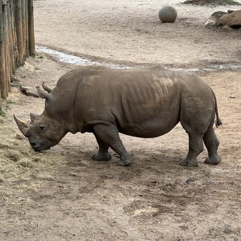 Brevard Zoo - Zoos Near Me - Melbourne, Florida Brevard Zoo - Zoos Near Me - Melbourne, Florida