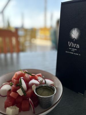 Viva by null