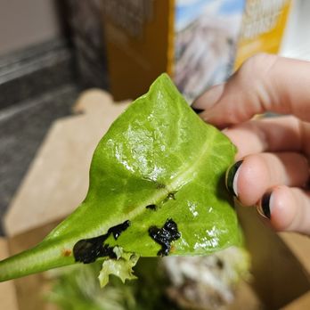 Sweet Bay Cafe - Moldy greens - Breakfast & Brunch Near Me - Bellingham, Washington