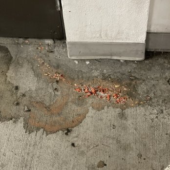 Domain San Diego - Vomit for days! - Apartments Near Me - San Diego, California