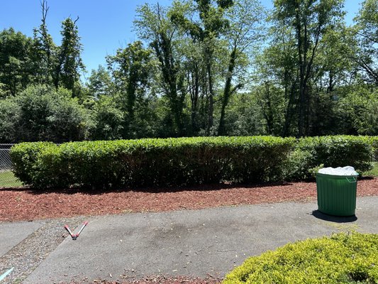 Hedge Maintenance - Hedge Maintenance Hedge Maintenance - Hedge Maintenance