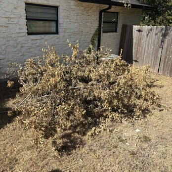 Haul Pro - Tree trimming yard debris - Junk Removal & Hauling Near Me - Round Rock, Texas Haul Pro - Tree trimming yard debris - Junk Removal & Hauling Near Me - Round Rock, Texas