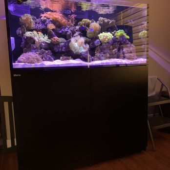 So Flo Fins - 114 gallon Redsea aquarium - Aquarium Services Near Me So Flo Fins - 114 gallon Redsea aquarium - Aquarium Services Near Me