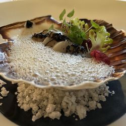 Restaurant Chat-Botté - Scallops