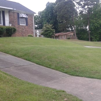Davis Lawns & Maintenance - a view of a residential neighborhood - Landscaping Near Me