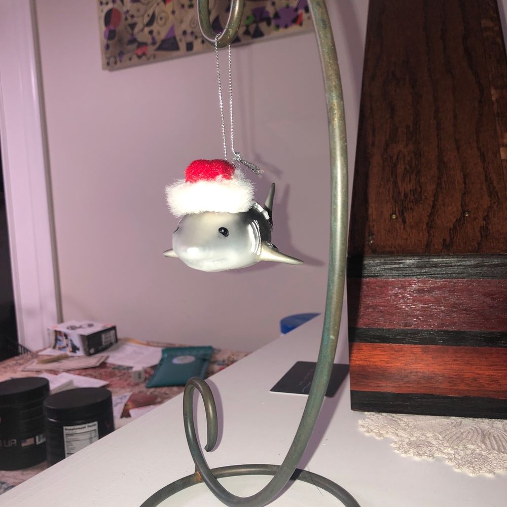 Waikiki Christmas Store - Shark with Santa hat - Home Decor Near Me - Honolulu, Hawaii Waikiki Christmas Store - Shark with Santa hat - Home Decor Near Me - Honolulu, Hawaii