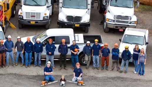 Mr. Tree - tree service in Portland, OR