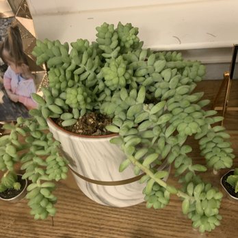 Articulture Designs - Interior Design Near Me - Austin, Texas