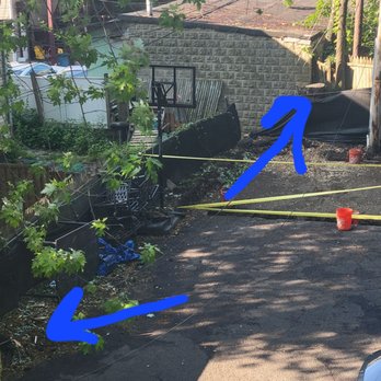 Get your Grass Cut For a Buck - Two 25+ trees taken done. Stump removed on one and thr other down to the fence line and roots removed. - Landscaping Near Me