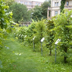 Colombipark - Jede Sorte ist beschildert.