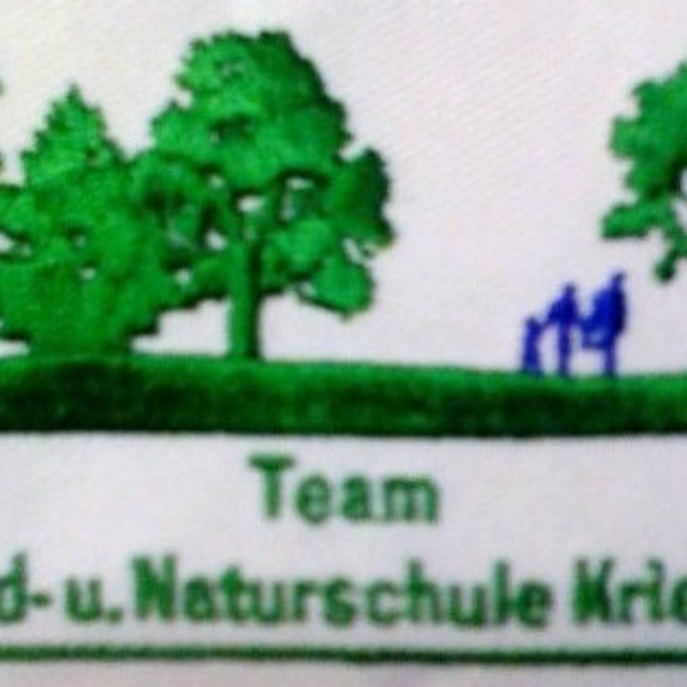 Untitled, image size:1000x1000