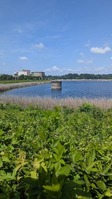 Druid Hill Park by null
