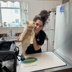 Ambler Veterinary Clinic - Dr.Tori visiting with a patient