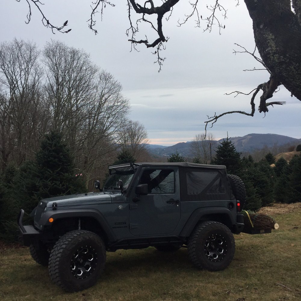 EVERGREEN RIDGE CHRISTMAS TREE FARM Updated September 2024 299