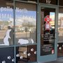 Photo of Apollo North Animal Hospital