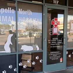 Apollo North Animal Hospital - A little vax update for our girl