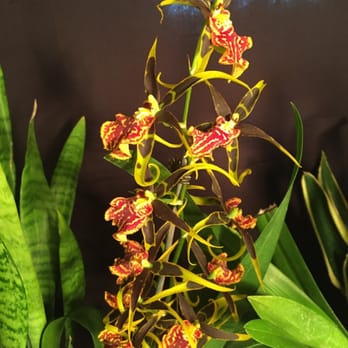 Lauritzen Gardens - Venues & Event Spaces Near Me - Omaha, Nebraska Lauritzen Gardens - Venues & Event Spaces Near Me - Omaha, Nebraska