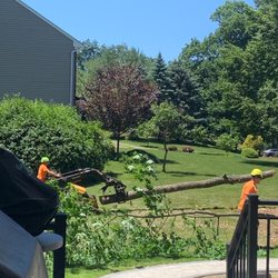 Advanced Tree Care