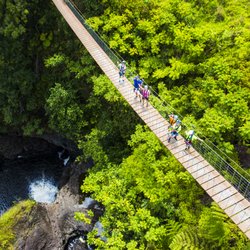 Big Island Vacation Services - Suspension bridge at Umauma Falls