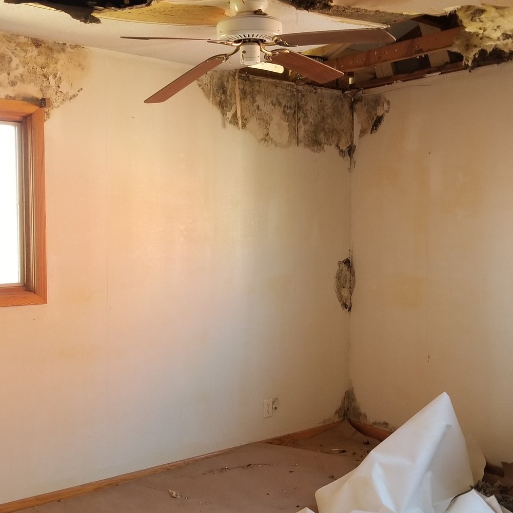 Rapid Drywall - NW Bedroom - Mold discovered - Drywall Installation & Repair Near Me - Cedar Rapids, Iowa