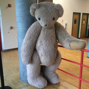 Vermont Teddy Bear - Toy Stores Near Me - Shelburne, Vermont