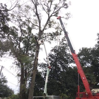 Arbor Tech Tree Service - Tree Services Near Me - Baton Rouge, Louisiana