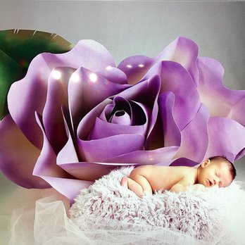 Lovely Paper Flowers - Purchase one today for a Beautiful Photoshoot Prop - Arts & Crafts Near Me Lovely Paper Flowers - Purchase one today for a Beautiful Photoshoot Prop - Arts & Crafts Near Me