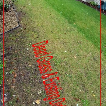 Green Horizons - Paid for whole lawn topsoil and overseed but they only overseeded. - Landscaping Near Me - Burnsville, Minnesota Green Horizons - Paid for whole lawn topsoil and overseed but they only overseeded. - Landscaping Near Me - Burnsville, Minnesota