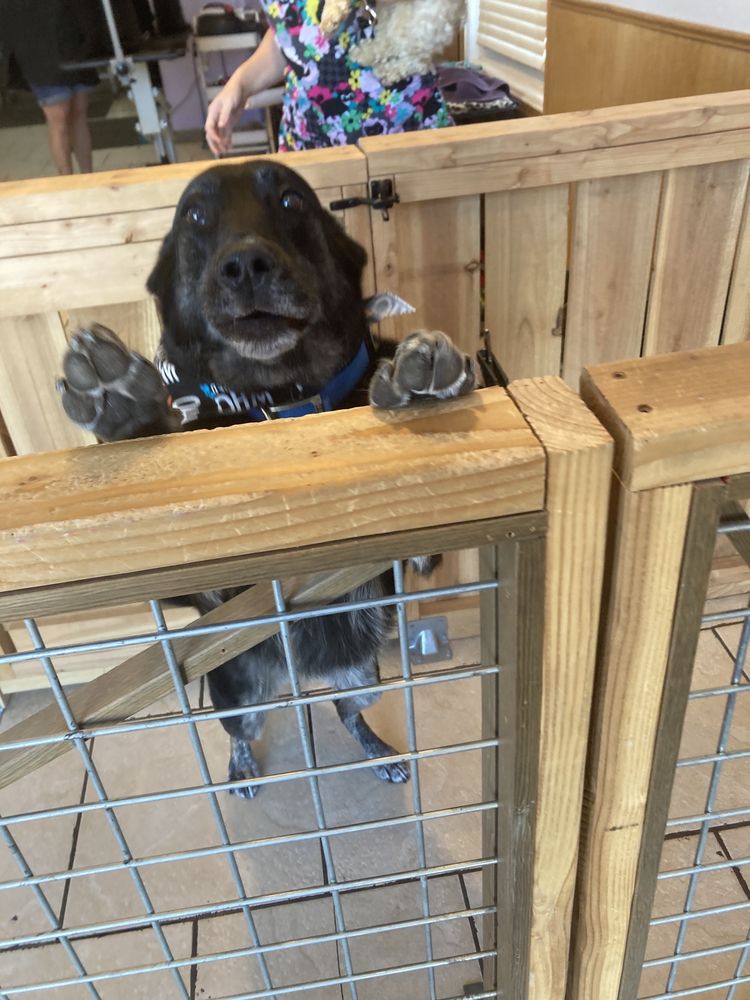 WHAT THE PUP Updated October 2024 120 Ramage St, Twin Falls, Idaho