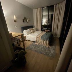 Dog friendly Glass Suite