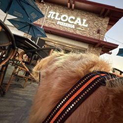 Pi Local