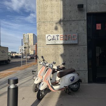 Catbird Hotel - Hotels Near Me - Denver, Colorado