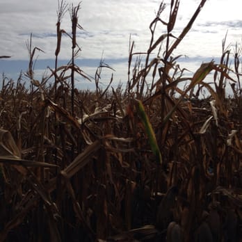 Scott's Maze Adventures - Farms Near Me - Mount Dora, Florida