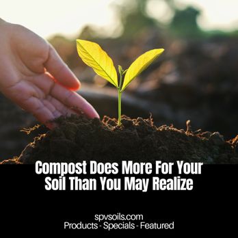 San Pasqual Valley Soils - Compost plays a critical roll in the health of our soil, our planet, and all living things. Improve your soil now for a healthier tomorrow. - Nurseries & Gardening Near Me - Escondido, California San Pasqual Valley Soils - Compost plays a critical roll in the health of our soil, our planet, and all living things. Improve your soil now for a healthier tomorrow. - Nurseries & Gardening Near Me - Escondido, California