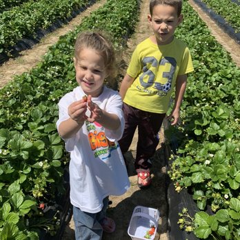 Mount Pleasant Farms - Super sweet cuties - Farmers Market Near Me - Chesapeake, Virginia