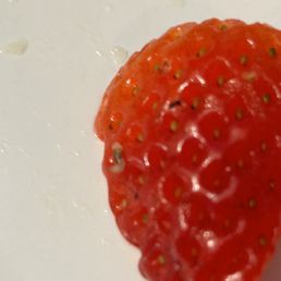 Bug/worm on my strawberry crepe