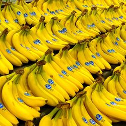 Bananas