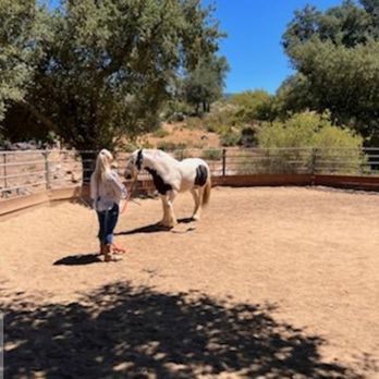 Olivewood Acres - DO NOT LET NYNA TOUCH YOUR HORSE. GO READ MY REVIEW! - Horse Boarding Near Me - Alpine, California